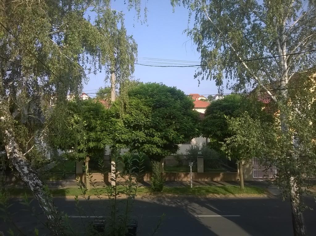 Apartman Nemeth เฮวิซ ภายนอก รูปภาพ