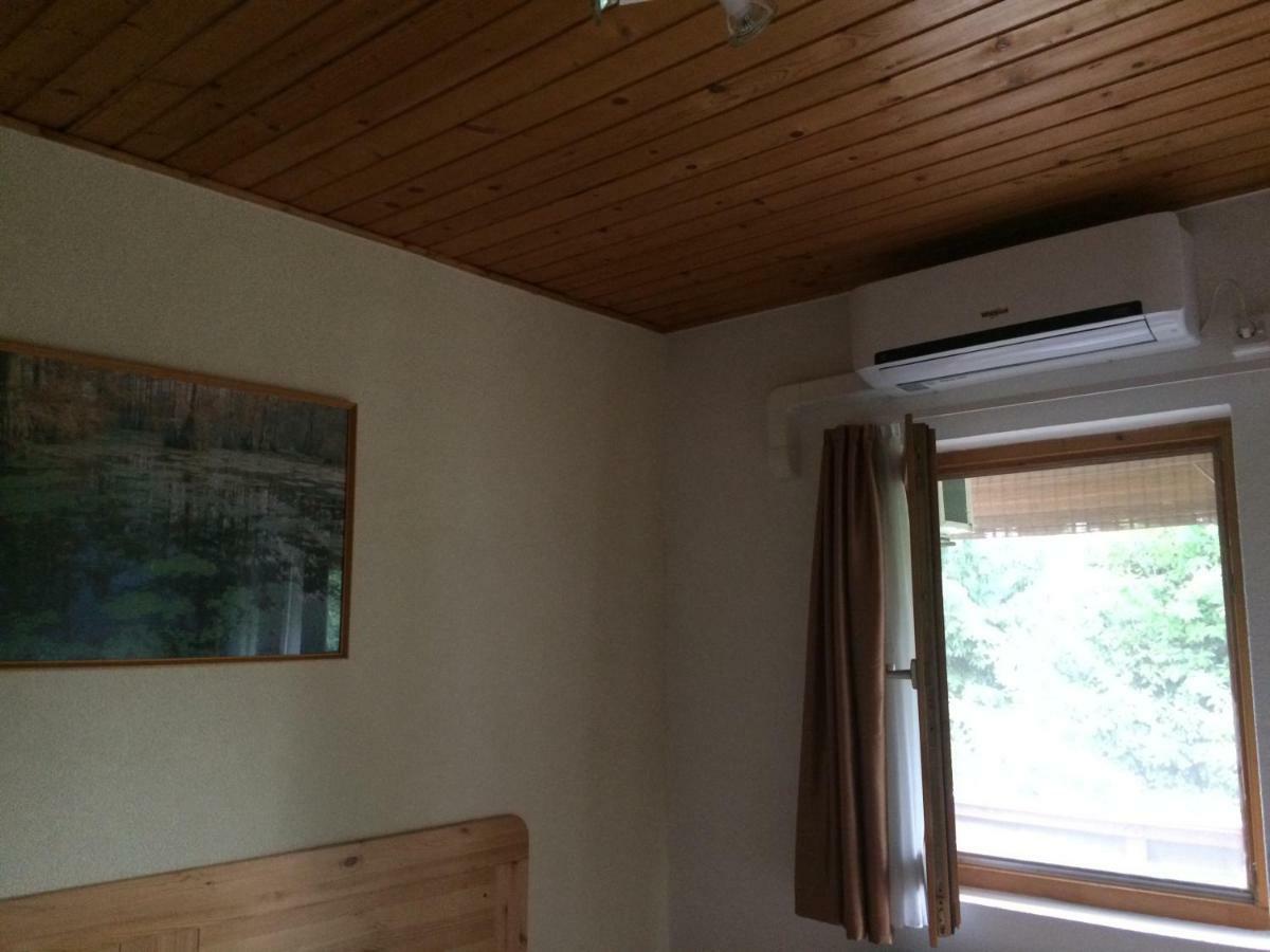 Apartman Nemeth เฮวิซ ภายนอก รูปภาพ